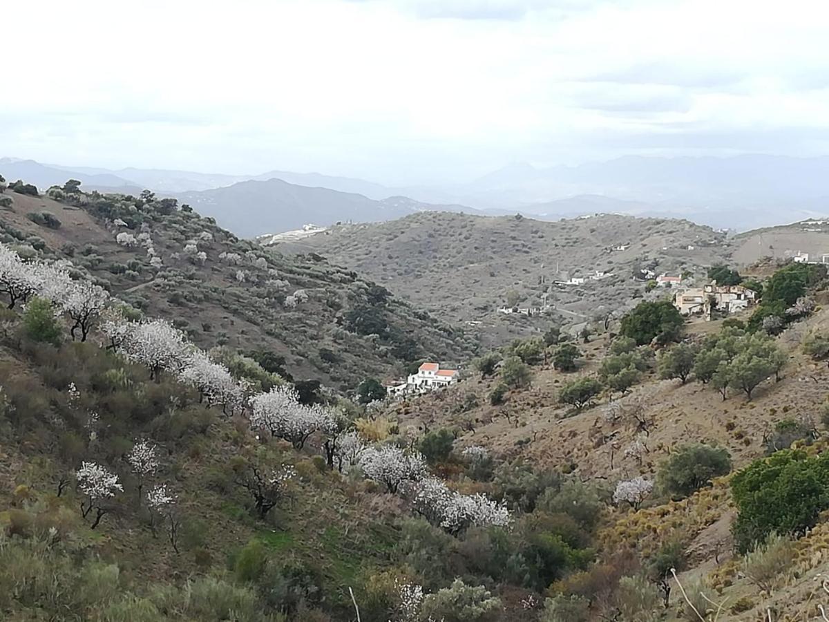 לינה וארוחת בוקר Los Valverde Casa Aguila 2.0 מראה חיצוני תמונה